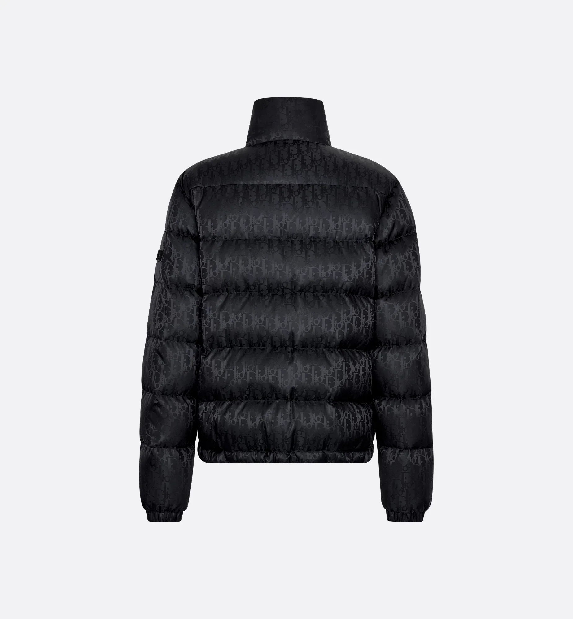 Dior Oblique Down Jacket